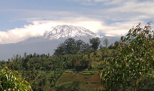 Kilimanjaro.jpg (30246 bytes)